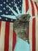 20080702StatueofLiber#8F38E