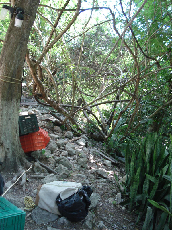 DSC03690