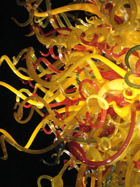 DSC03437