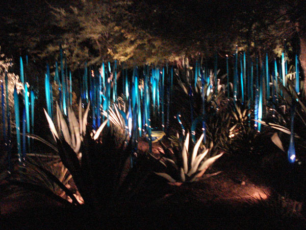 DSC03453