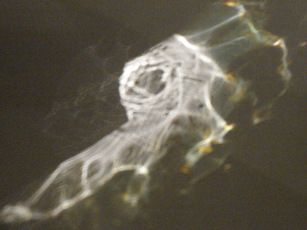 DSC03469